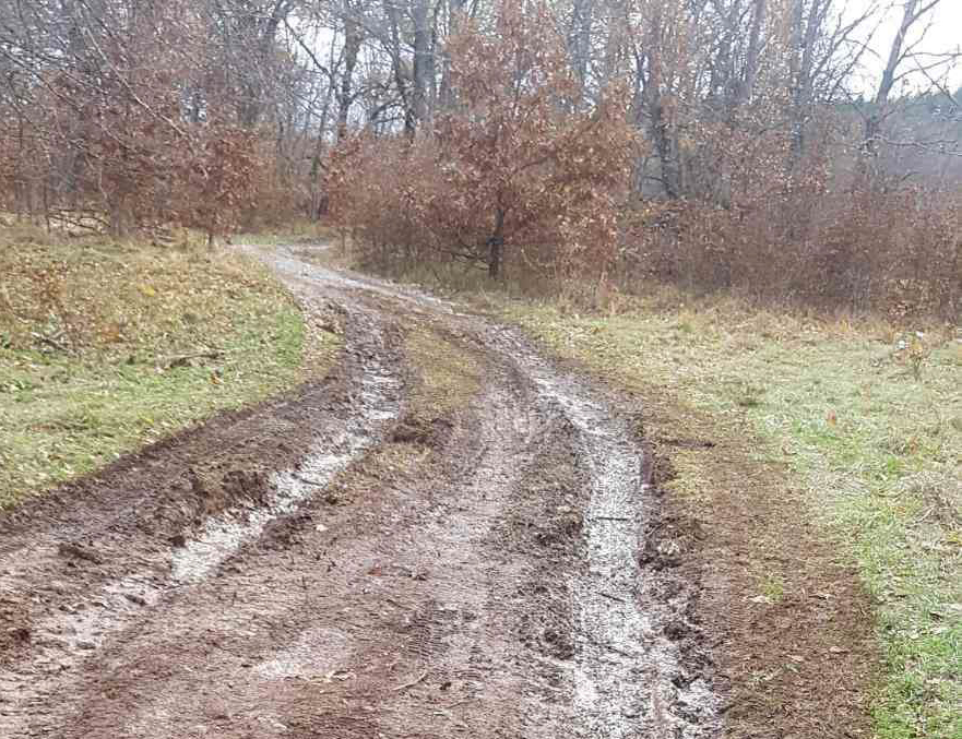ДРВАР, 27. НОВЕМБРА /СРНА/ - Неодговорни појединци теренским возилима током протеклих неколико ноћи уништили су приватну имовину на више парцела у селу Награђе код Дрвара, речено је Срну из Удружења "Награђе - Црна краљица".