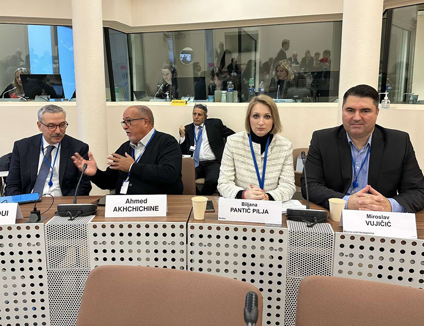 ПАРИЗ, 11. ДЕЦЕМБРА /СРНА/ - Члан Делегације БиХ Мирослав Вујичић на сједници Комитета Парламентарне скупштине Савјета Европе за политичка питања и демократију гласао је против прелиминарног приједлога извјештаја који припрема Теодора Бакојани из Грчке у вези са обновом свјетског поретка заснованог на правилима.