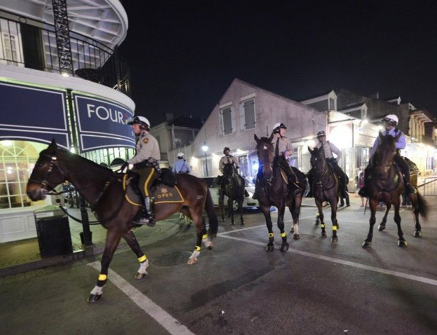 ЊУ ОРЛЕАНС, 2. ЈАНУАРА /СРНА-Ројтерс/ - Ветеран америчке војске који је камионом улетио у масу људи током прославе Нове године обећао је вјерност "Исламској држави", али је дјеловао сам у нападу у којем је убијено најмање 14 људи, саопштио је Федерални истражни биро /ФБИ/.