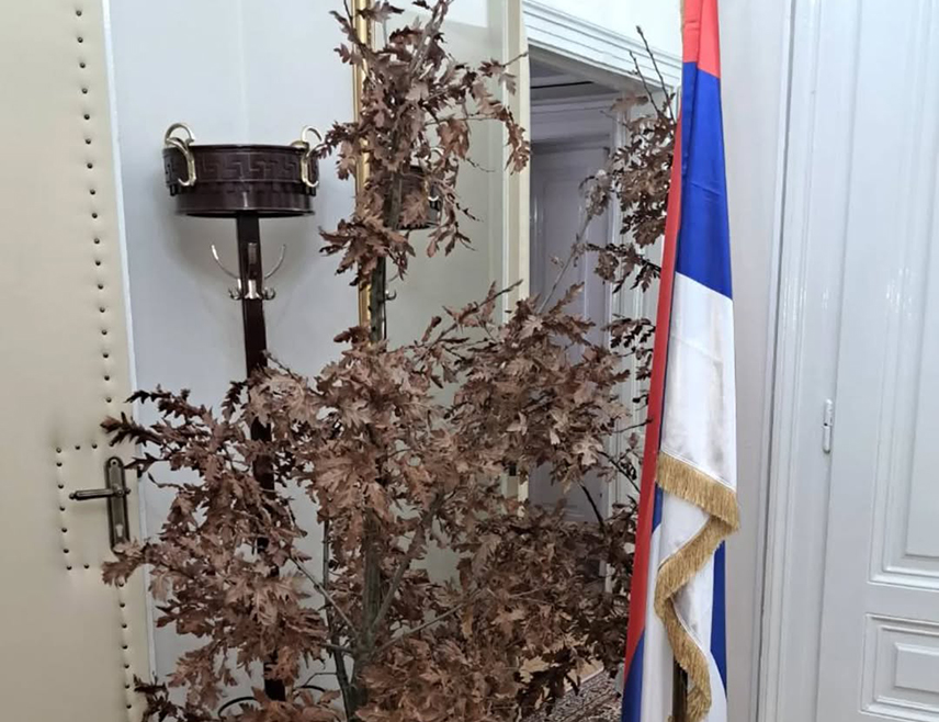 САРАЈЕВО, 6. ЈАНУАРА /СРНА/ - Српски члан Предсједништва БиХ Жељка Цвијановић истакла је да је традиционално, како налажу обичаји, јутрос у кабинет српског члана Предсједништва БиХ у Сарајеву унесен бадњак.