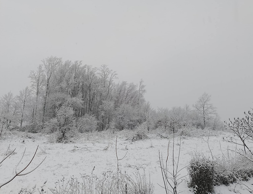 НОВИ ГРАД, 10. ЈАНУАРА /СРНА/ - У Новом Граду пада снијег, у вишим предјелима формиран је мањи сњежни покривач, а вјетар је проузроковао кварове на електромрежи, речено је Срни у локалном Центру за обавјештавње.