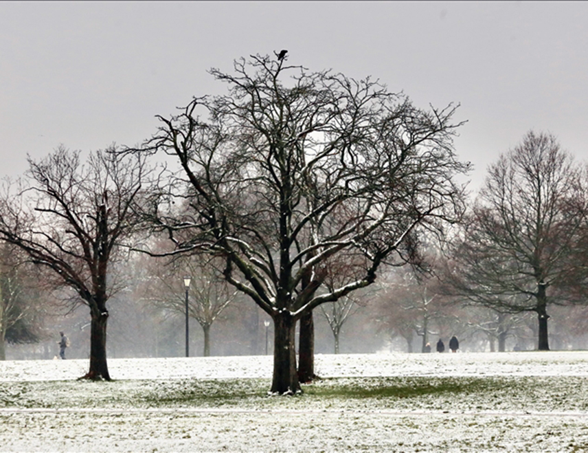 БАЊАЛУКА, 12. ЈАНУАРА /СРНА/ - У Републици Српској и Федерацији БиХ данас ће бити претежно облачно и вјетровито.