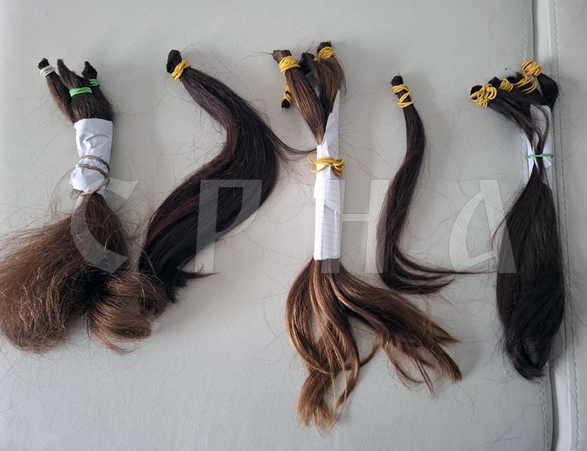 БАЊАЛУКА, 9. ФЕБРУАРА /СРНА/ - Родитељској кући "Искра" у Бањалуци у којој бораве дјеца обољела од малигних болести и њихови родитељи годишње косу донира око 800 донора из цијеле Републике Српске, а донације стижу и из Словеније и Хрватске.