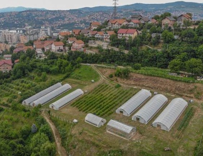 НОВИ ГРАД, 18. ФЕБРУАРА /СРНА/ - За подстицаје пољопривредне производње у буџету општине Нови Град планирано је 200.000 КМ, једнак износ као и прошле године.