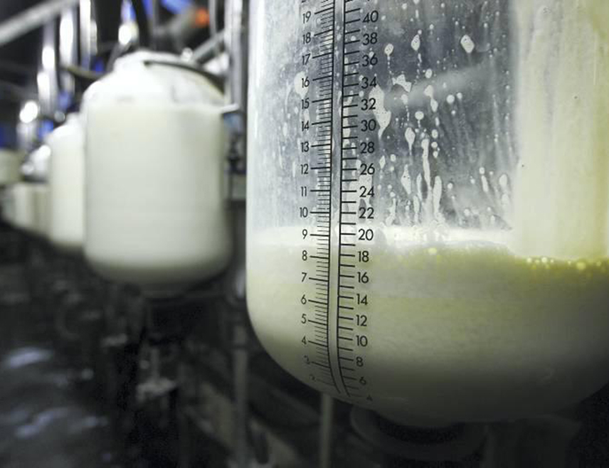 САРАЈЕВО, 26. ФЕБРУАРА /СРНА/ - Одобрење наставка извоза млијека из БиХ на тржиште ЕУ потврђује да сектор мљекарства, уз подршку надлежних институција и ветеринарских организација у земљи, испуњава високе европске стандарде, поручено је са предавања о теми "Примјена упутства о прегледу сировог млијека намијењеног јавној потрошњи" које је одржано данас у Мостару.