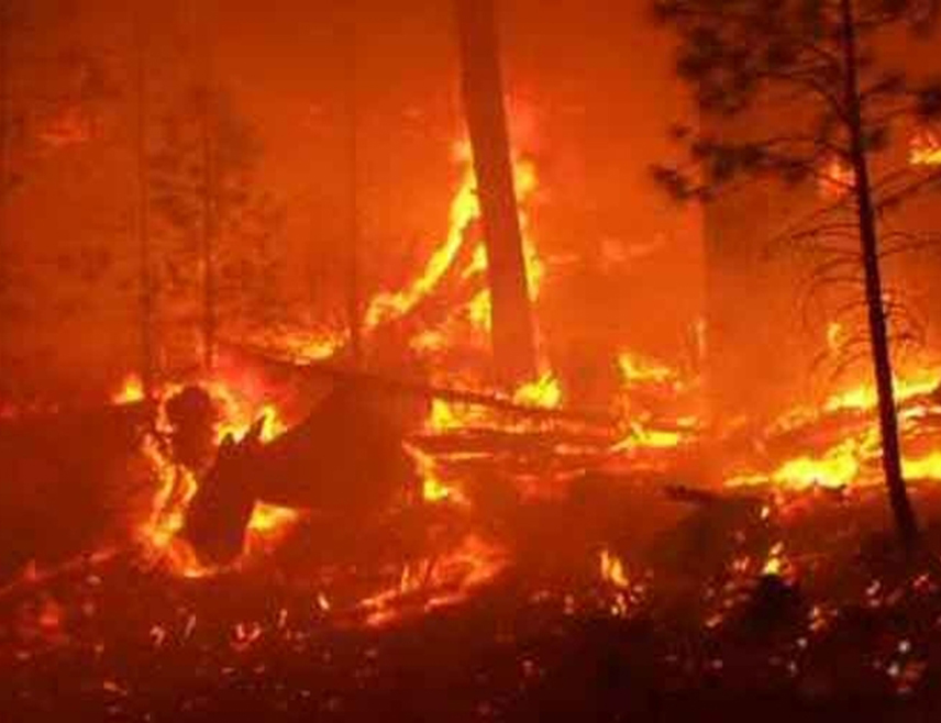 ПОДГОРИЦА, 9. МАРТА /СРНА/ - Још један пожар у Црној Гори активан је на подручју гусињске општине и тренутно букти према планини Виситор и подручју Плава.