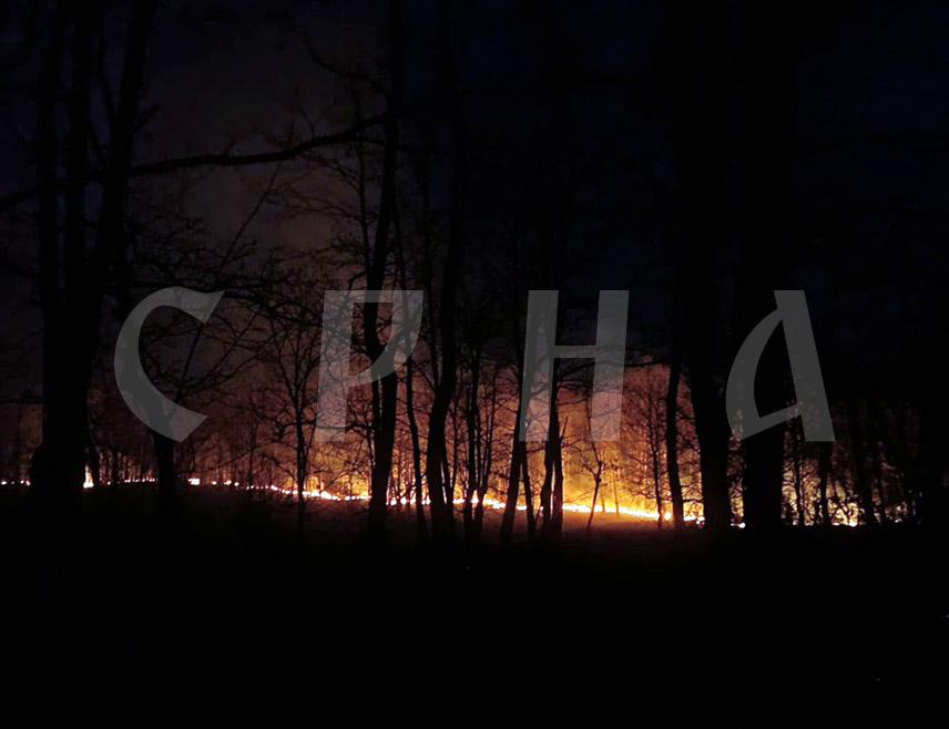 МИЛИЋИ, 9. МАРTА /СРНА/ - На подручју Милића ватрогасци су угасили два пожара, а полиција прати ситуацију на терену, изјавио је Срни командир смјене милићких ватрогасаца Владимир Симић.