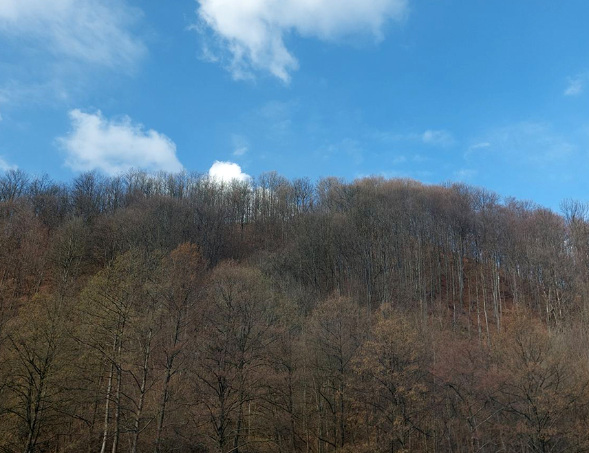 БАЊАЛУКА, 18. МАРТА /СРНА/ - У Републици Српској и Федерацији БиХ данас ће бити претежно сунчано са температуром ваздуха до 10 степени Целзијусових.