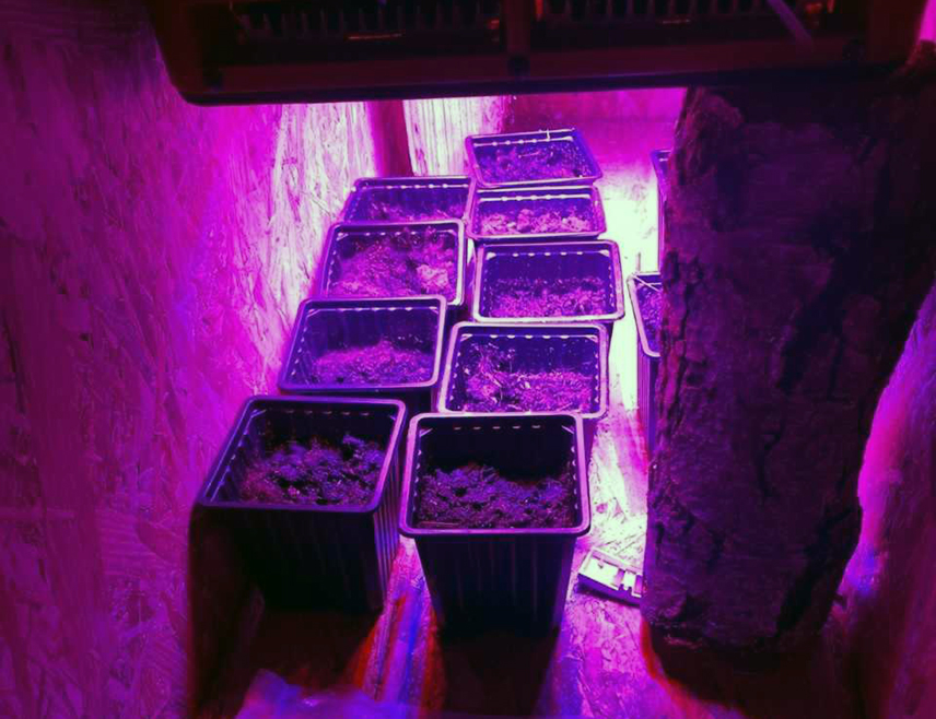 ГРАДИШКА, 18. МАРТА /СРНА/ - Полиција је, у оквиру у акције "Мост", пронашла импровизовану лабораторију за производњу сканка у Доњој Јурковици код Градишке и ухапсилa лице из тог града чији су иницијали О.П.