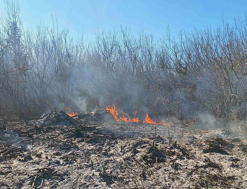 БАЊАЛУКА, 21. МАРТА /СРНА/ - Ватрогасци су у Бањалуци у протекла 24 часа имали 10 интервенција, од којих је пет интервенција било због пожара ниског растиња.