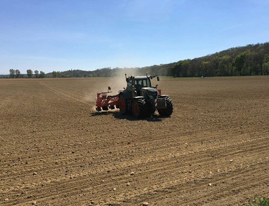 БИЈЕЉИНА, 10. АПРИЛА /СРНА/ - Прољетна сјетва у Семберији у пуном капацитету започеће чим дозволе временски услови, а и овог прољећа највећу површину заузимаће кукуруз, око 25.000 хектара, рекао је Срни вршилац дужности начелника Одјељења за пољопривреду Бијељине Сретен Вучковић.