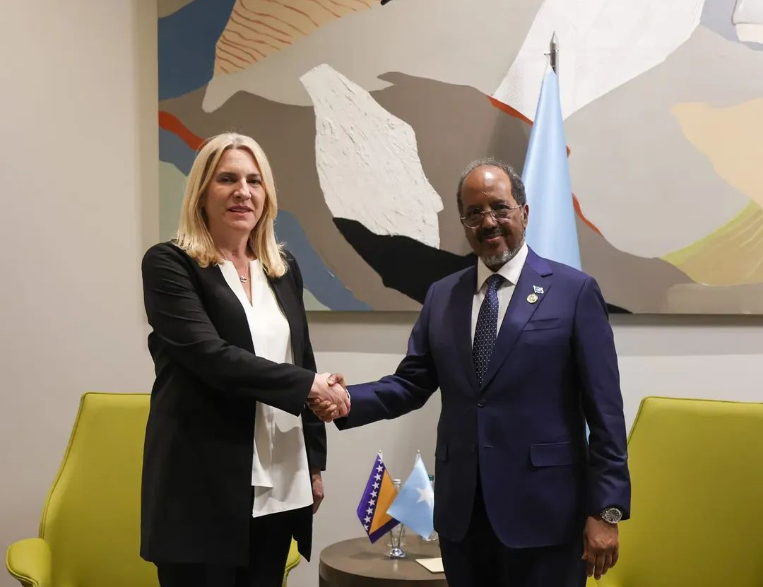 АНТАЛИЈА, 12. АПРИЛА /СРНА/ - Српски члан и предсједавајућа Предсједништва БиХ Жељка Цвијановић састала се данас у Анталији и са предсједником Сомалије, несталне чланице Савјета безбједности УН, Хасаном Шеик Мухамудом кога је упознала о актуелној политичкој и уставној кризи у БиХ коју је изазвао неизабрани странац Кристијан Шмит.