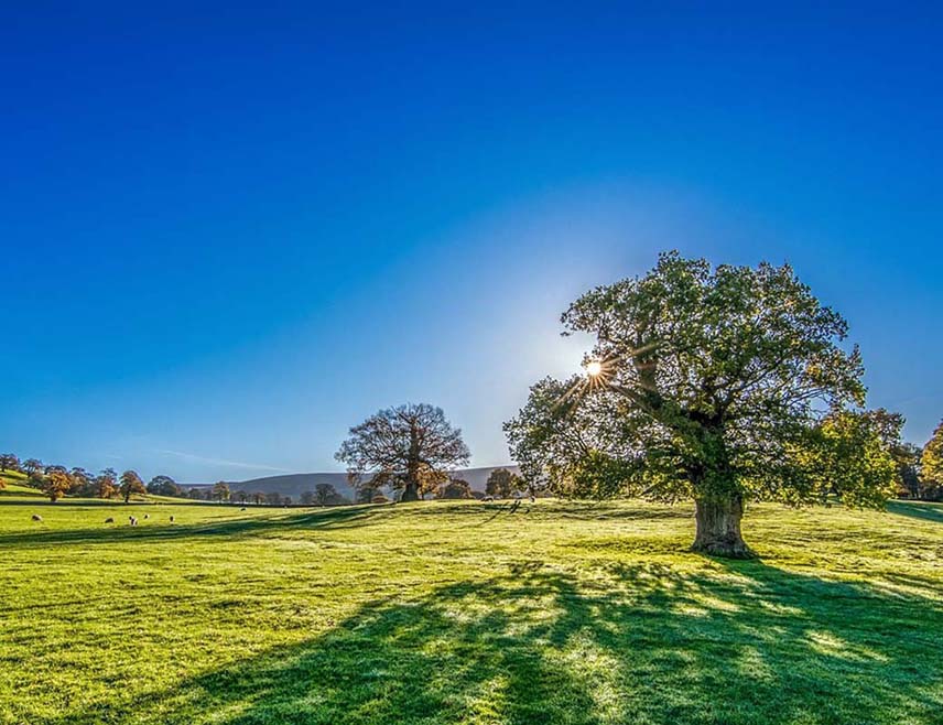 БАЊАЛУКА, 30. АПРИЛА /СРНА/ - У Републици Српској и Федерацији БиХ данас ће бити сунчано са температуром до 28 степени Целзијусових.