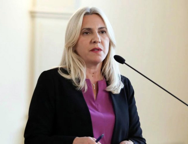 БАЊАЛУКА, 1. ЈУНА /СРНА/ - Потпредсједник СНСД-а Жељка Цвијановић изјавила је да су СНСД и ХДЗ БиХ вишегодишњи партнери, јер су препознали исте девијације у БиХ и рекли да те ствари треба мијењати.