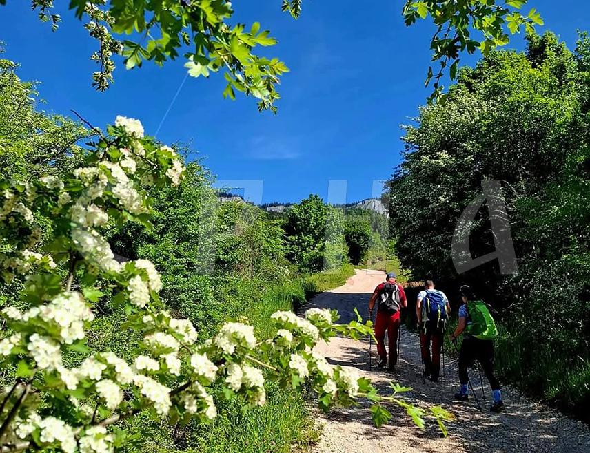 ПАЛЕ, 4. ЈУНА /СРНА/ - Чланови Планинарско-еколошког друштва "Романија" са Пала обишли су терен за припрему нове планинарске стазе која ће објединити све значајне тачке овог краја, Планинарски дом "Стајна", Новакову пећину и Велику стијену.