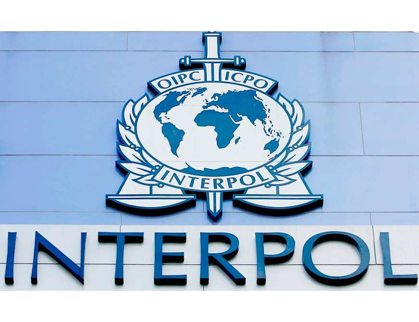 ЛИОН, 6. ЈУНА /СРНА/ - Свјетска полицијска организација Интерпол саопштила је да је у 12 земаља Европе, Сјеверне и Јужне Америке ухапшено 20 људи, током операције у вези са материјалом који садржи сексуално злостављање дјеце.