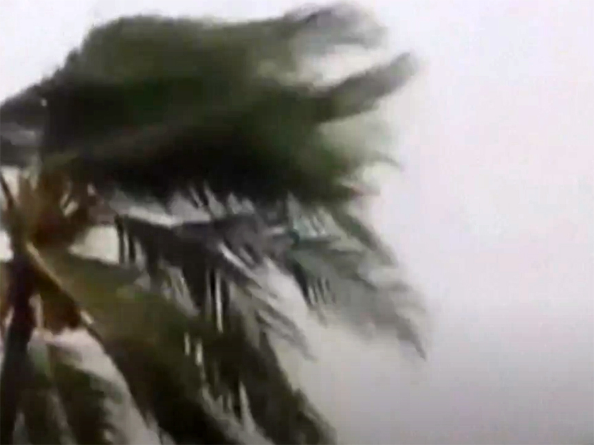 МАЈАМИ, 9. ЈУНА /СРНА/ - Двије тропске олује ојачале су код обале Мексика у Тихом океану, а прогнозира се да би једна од њих, која је названа "Барбара", могла већ данас да ојача до нивоа урагана, упозорили су метеоролози Националног центра за урагане у Мајамију.