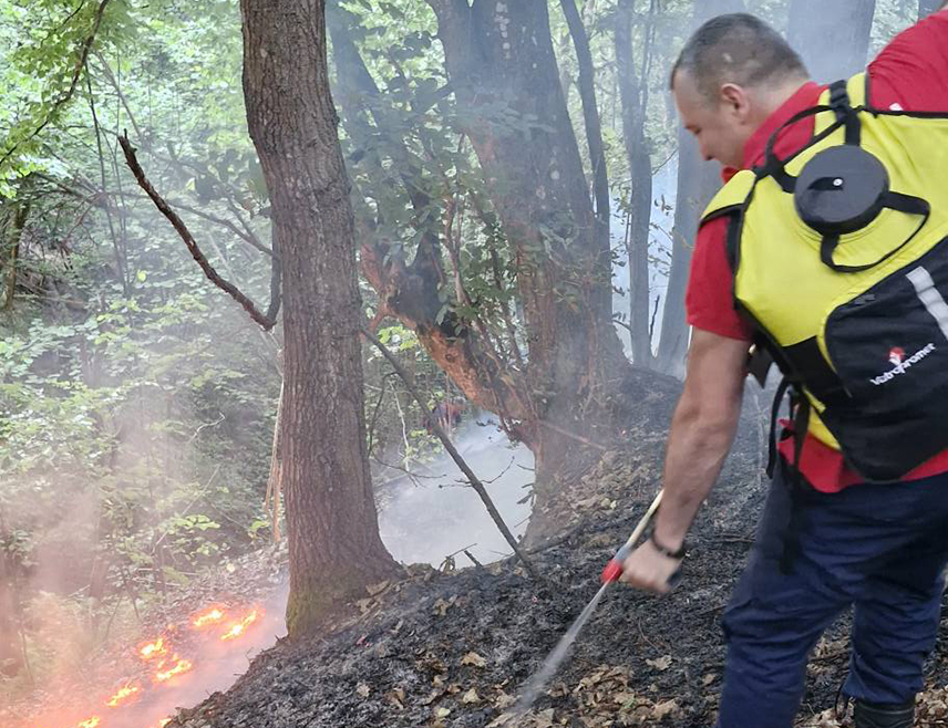 СРЕБРЕНИЦА, 3. ЈУЛА /СРНА/ - На пожариштима на подручју Сребренице данас је повољнија ситуација иако пожари још нису угашени, али су под контролом, рекао је Срни командир сребреничке Територијалне ватрогасно-спасилачке јединице Велибор Николић.