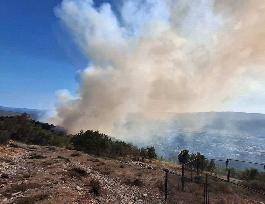 БИЛЕЋА, 3. ЈУЛА /СРНА/ - Билећки ватрогасци локализовали су пожар који је избио поподне у боровој шуми код села Баљци, речено је Срни у Tериторијалној ватрогасној јединици Билећа.