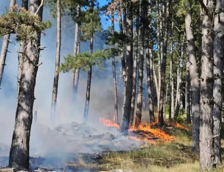 ИСТОЧНО САРАЈЕВО, 4. ЈУЛА /СРНА/ - Ситуација у вези са пожарима у Републици Српској тренутно је најкритичнија на подручјима Рогатице и Сребренице гдје гори борова шума, те Броду гдје гори депонија, али тренутно није алармантно, изјавио је Срни вршилац дужности директора Републичке управе цивилне заштите Борис Трнинић.