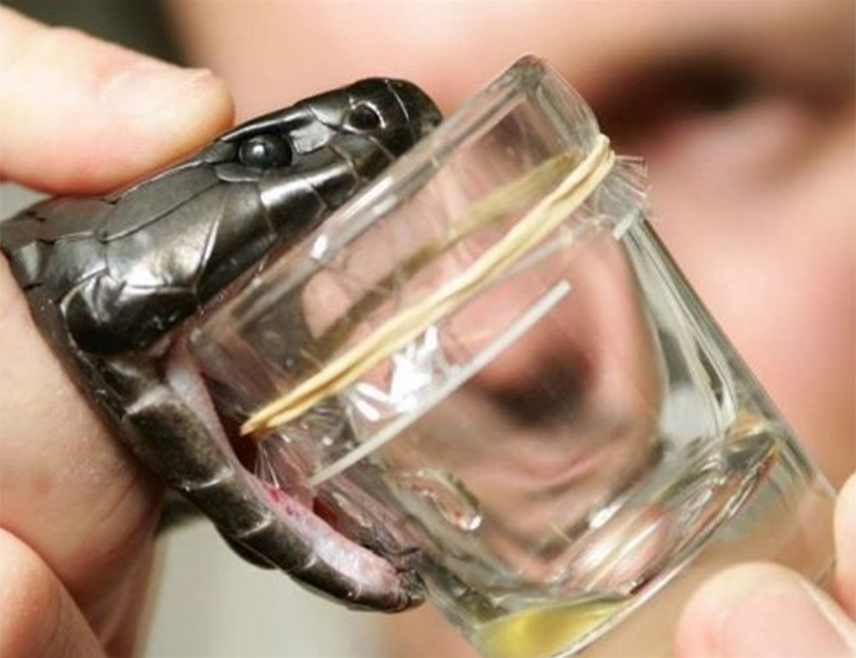 БАЊАЛУКА, 4. ЈУЛА /СРНА/ - У здравственим установама у Републици Српској тренутно су, због повећаних потреба, ограничене количине серума против змијског отрова, а у току је процес набавке нових количина, речено је Срни у Институту за јавно здравство Српске.