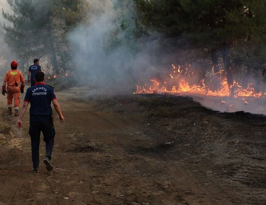 АНКАРА, 5. ЈУЛА /СРНА/ - Велики пожар у турској провинцији Измир тренутно је под контролом, а гашење се наставља у југоисточној провинцији Хатај, саопштила је Влада.