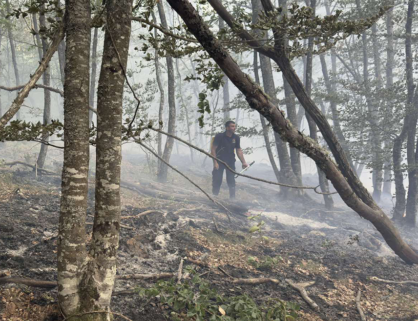 РОГАTИЦА, 5. ЈУЛА /СРНА/ - Територијална ватрогасно-спасилачка јединица Рогатица и око 90 радника "Шума Српске" ставили су под контролу пожар већих размјера на локалитету Tморни До.