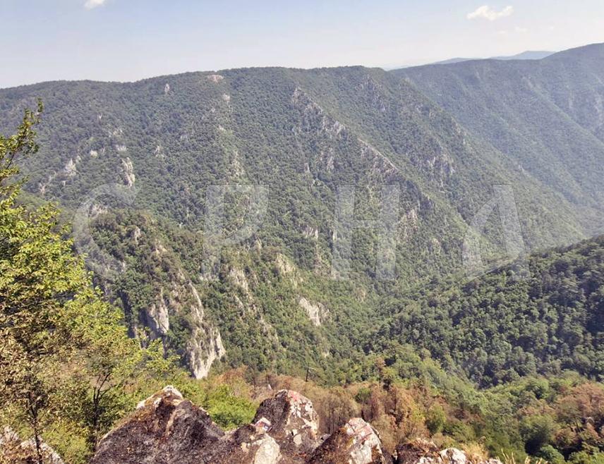 СРЕБРЕНИЦА, 6. ЈУЛА /СРНА/ - Начелник општине Сребреница Милош Вучић изјавио је Срни да је шумски пожар у кањону и клисурама у рејону сребреничког села Лука под контролом, те да нема дима и пламена.