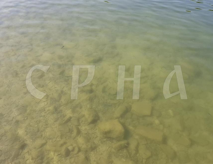 НОВИ ГРАД, 15. АВГУСТА /СРНА/ - Форум за безбједност општине Нови Град данас је упутио протестну ноту надлежнима у Федерацији БиХ /ФБиХ/ на чијој територији је загађена ријека Уне и осудио несавјесно понашање.