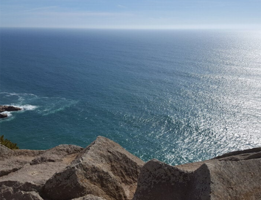 ПОТСДАМ, 24. СЕПТЕМБРА /СРНА/ - Киселост океана порасла је на опасан ниво, саопштили су стручњаци.