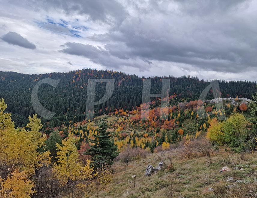 ISTOČNO SARAJEVO, OCTOBER 29 /SRNA/ – In recent days, Mount Trebević has been glowing in its full autumn beauty, painted in golden and red shades of the forests that surround Istočno Sarajevo and Sarajevo.