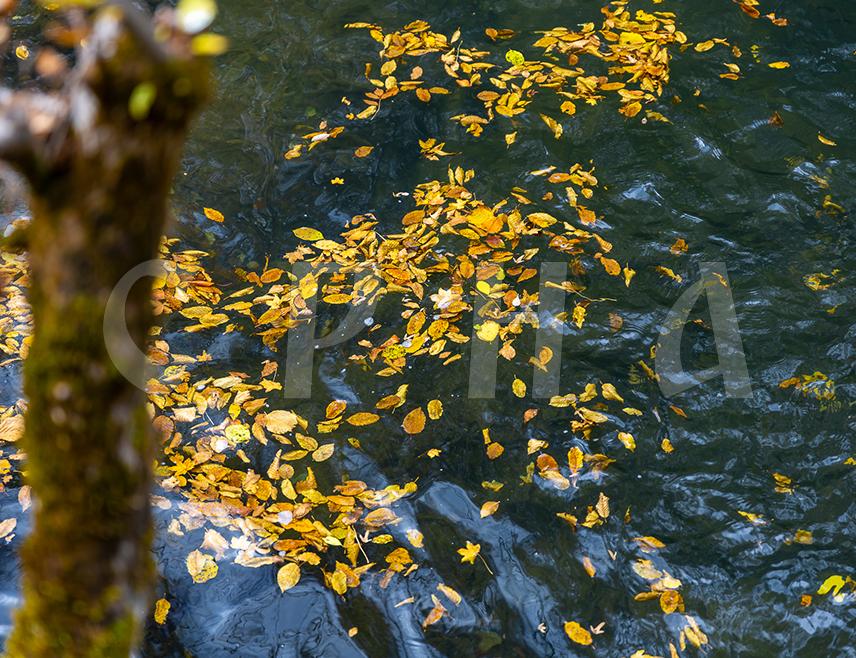 БИЈЕЉИНА, 31. ОКТОБРА /СРНА/ - У Републици Српској и Федерацији БиХ данас ће бити претежно сунчано и топло вријеме, а у Херцеговини умјерено облачно уз могућу слабу пролазну кишу.