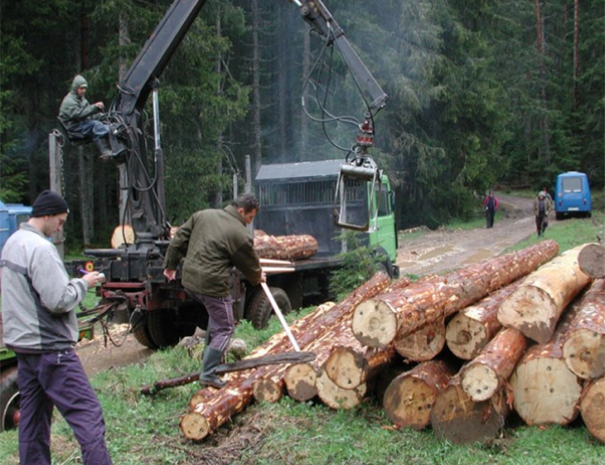 БАЊАЛУКА, 1. НОВЕМБРА /СРНА/ - Шуме су изложене многобројним изазовима и одрживо управљање њима подразумијева кориштење шума и шумског земљишта на начин да се очува биодиверзитет, а да продуктивност, обнављање, виталност и потенцијал шума буду на нивоу који ће задовољоти еколошке, економске и социјалне потребе данашње и будућих генерација, визија је нове стратегије развоја шумарства Републике Српске до 2034. године.