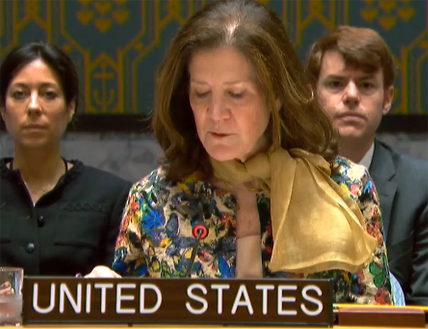 ЊУЈОРК, 31. ОКТОБРА /СРНА/ - Одлука Народне скупштине Републике Српске да именује Ану Тришић Бабић за вршиоца дужности предсједника Републике Српске донијела је Српској стабилнији положај, изјавила је представник САД у УН.