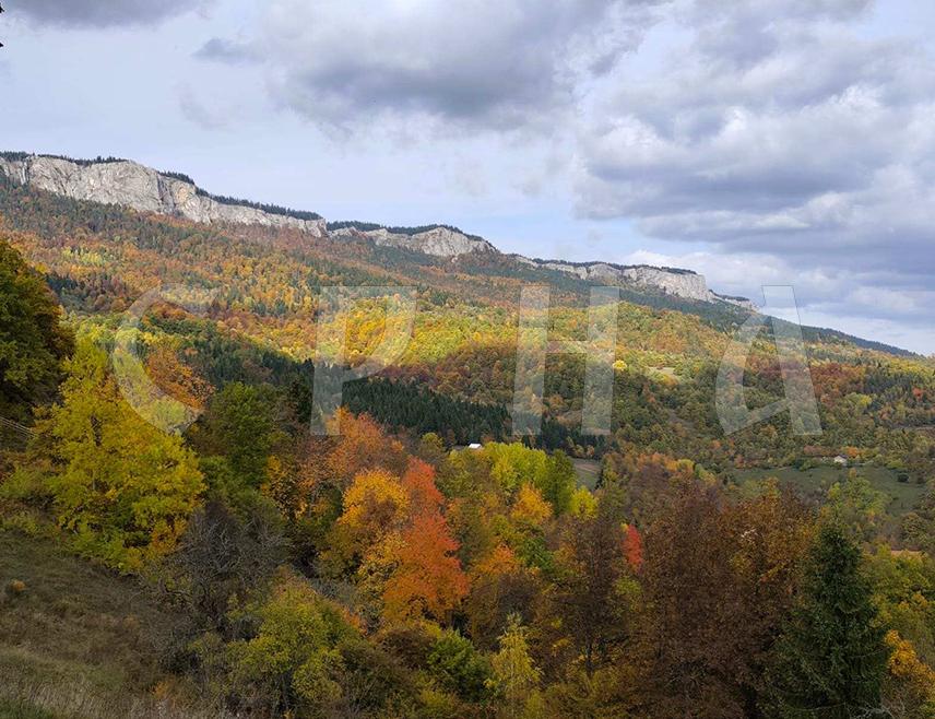ПАЛЕ, 1. НОВЕМБРА /СРНА/ - Јесен има посебан мирис и боју у малом селу Подмједеник, смјештеном на путу од Пала ка Боговићима.