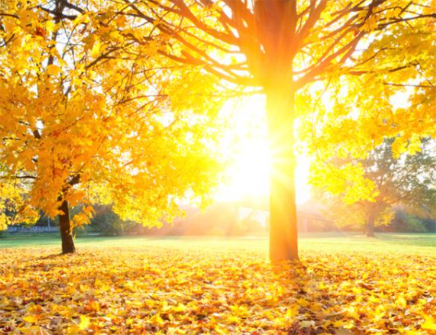 БАЊАЛУКА, 6. НОВЕМБРА /СРНА/ - У Републици Српској и Федерацији БиХ данас ће бити сунчано вријеме, уз умјерену облачност на истоку и у Крајини.