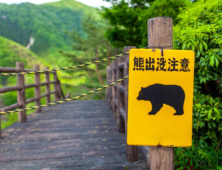 ТОКИО, 16. НОВЕМБРА /СРНА/ - Медвјед је повриједио старијег мушкарца у сјевероисточној јапанској префектури Фукушима, саопштила је полиција.