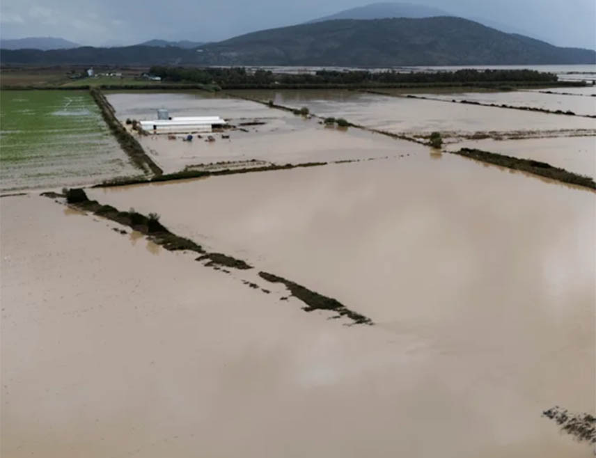 TИРАНА, 22. НОВЕМБРА /СРНА/ - Најмање једно лице погинуло је у поплавама у Албанији које су изазвале јаке кише протеклих дана, саопштила је данас полиција.