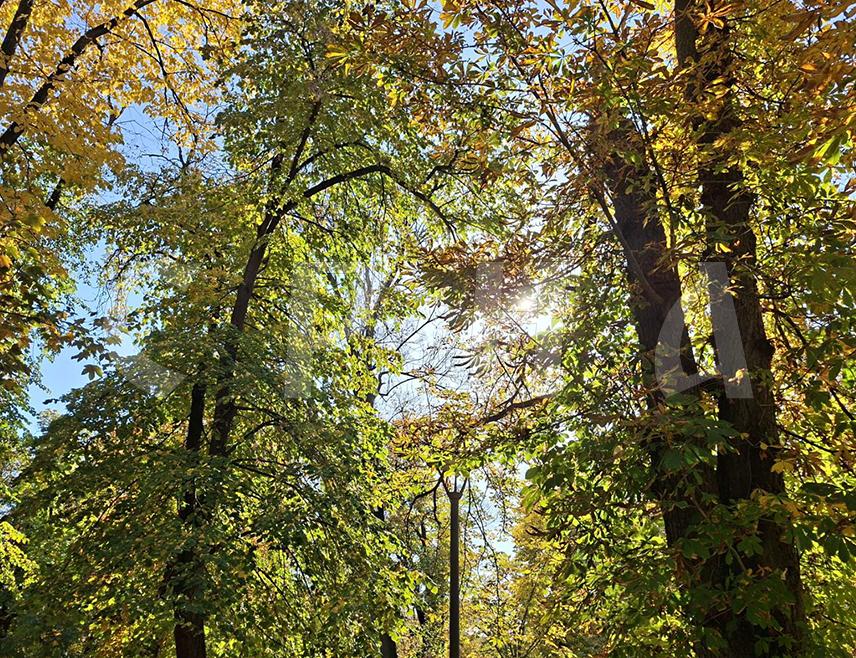 БАЊАЛУКА, 8. ДЕЦЕМБРА /СРНА/ - У Републици Српској ће наредних дана бити неочекивано топло, па ће максимална температура ваздуха ићи и до 17 степени Целзијусових, подаци су Хидрометеоролошког завода Републике Српске.