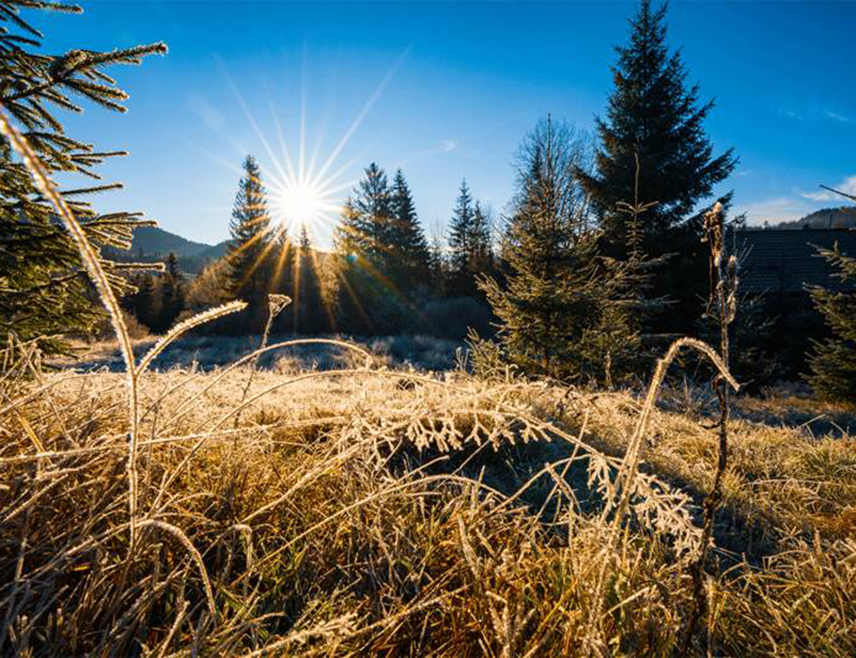 БИЈЕЉИНА, 9. ДЕЦЕМБРА /СРНА/ - У Републици Српској и Федерацији БиХ данас ће бити сунчаније и топлије, уз највишу дневну температуру од 11 до 16 степени Целзијусових.