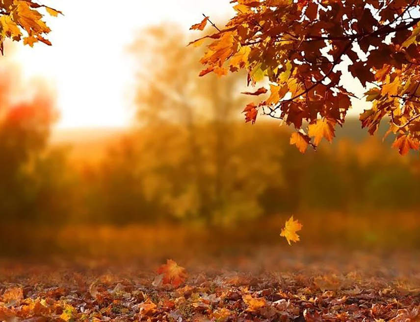 БИЈЕЉИНА, 10. ДЕЦЕМБРА /СРНА/ - У Републици Српској и Федерацији БиХ /ФБиХ/ први дио дана биће сунчано уз промјенљиву облачност, док ће послије подне бити претежно сунчано, увече ведро, уз ново формирање магле локално око ријека и по котлинама.