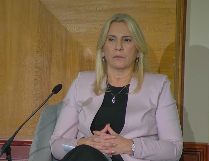 ЦВИЈАНОВИЋ: ФЕДЕРАЛ АППРОАЦХ ГИВЕС БиХ БЕТТЕР ПРОСПЕЦТС ОН ИТС ЕУРОПЕАН ПАТХ