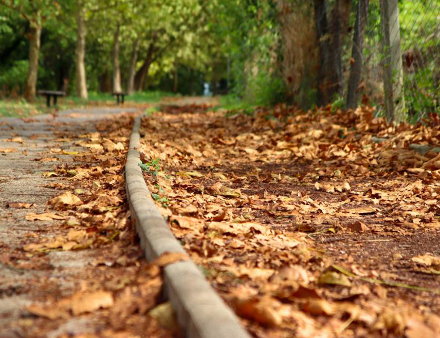 БИЈЕЉИНА, 22. ДЕЦЕМБРА /СРНА/ - У Републици Српској и Федерацији БиХ /ФБиХ/ прије подне биће облачно и тмурно, а у другом дијелу дана доћи ће до дјелимичног разведравања и биће промјенљиво облачно уз сунчане периоде.