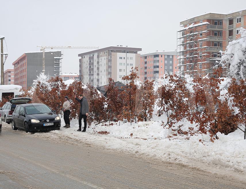 БИЈЕЉИНА, 6. ЈАНУАРА /СРНА/ - Српска православна црква /СПЦ/ прославља данас Бадњи дан, припремајући се за најрадоснији хришћански празник Рођење Исуса Христа - Божић.