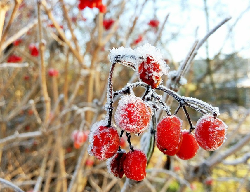 БАЊАЛУКА, 24. ДЕЦЕМБРА /СРНА/ - У Републици Српској ће за викенд током оба јутра бити хладно уз мраз, а по дану сунчаније и топлије уз промјенљиву облачност, која би у недјељу, 28. децембра, на истоку могла да пређе у сусњежицу и слаб снијег.