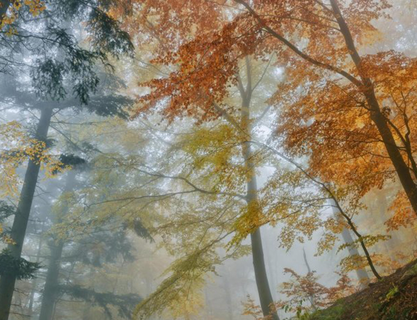 САРАЈЕВО, 25. ДЕЦЕМБРА /СРНА/- У Републици Српској и Федерацији БиХ /ФБиХ/ сутра ће преовладавати хладно и претежно облачно вријеме, понегдје са слабом кишом, у вишим предјелима са слабим снијегом.