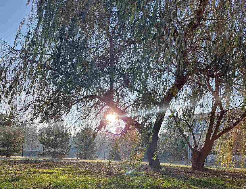 САРАЈЕВО, 30. ДЕЦЕМБРА /СРНА/ - У Републици Српској и Федерацији БиХ /ФБиХ/ сутра ће бити претежно сунчано и хладно вријеме, уз температуру ваздуха до шест степени Целзијусових.