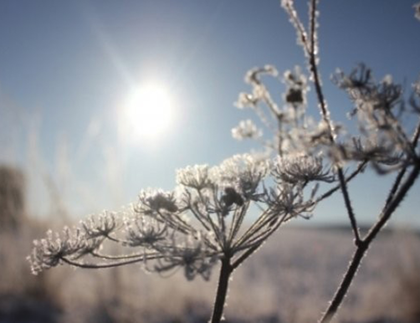БИЈЕЉИНА, 1. ЈАНУАРА /СРНА/ - У Републици Српској и Федерацији БиХ /ФБиХ/ данас ће бити претежно сунчано вријеме, уз пораст температуре у односу на претходне дане.