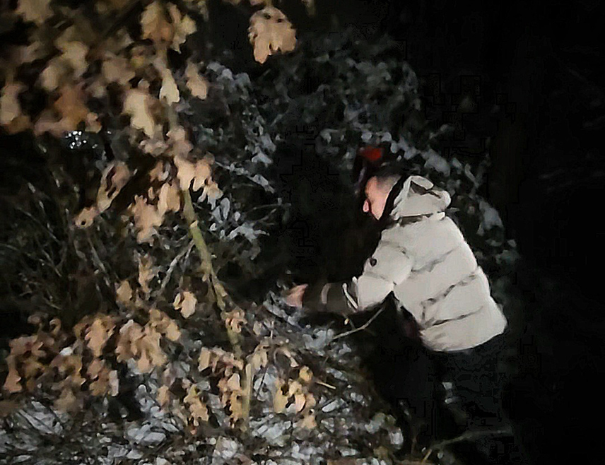 ДОБОЈ, 6. ЈАНУАРА /СРНА/ - Градоначелник Добоја Борис Јеринић сјекао је јутрос бадњака у добојском насељу Мала Буковица.