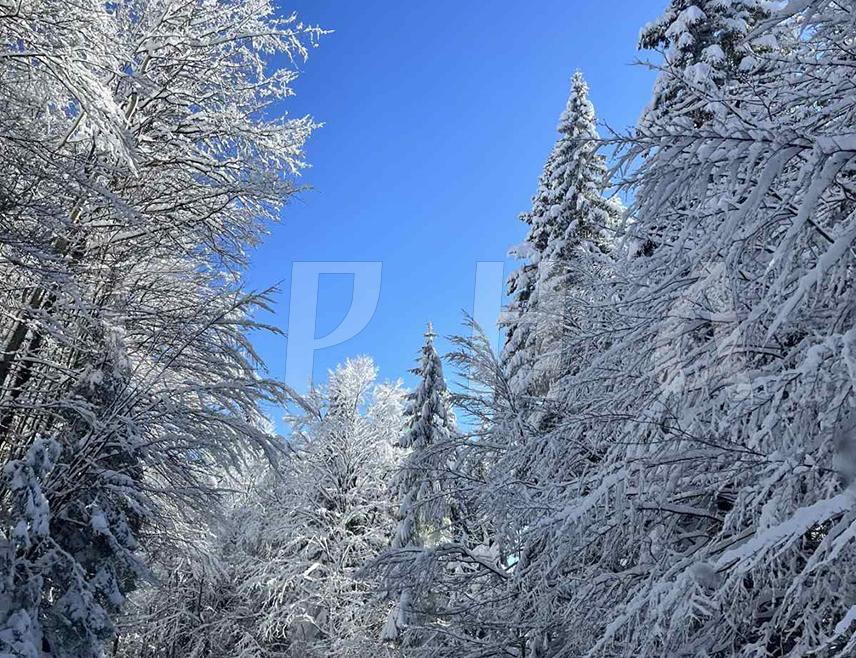 ИСТОЧНО САРАЈЕВО, 12. ЈАНУАРА /СРНА/ - У Републици Српској и Федерацији БиХ /ФБиХ/ сутра се очекује облачно и углавном суво вријеме уз пораст температуре, а врло слаба киша могућа је понегдје на западу, док на планинама може провијавати слаб снијег.